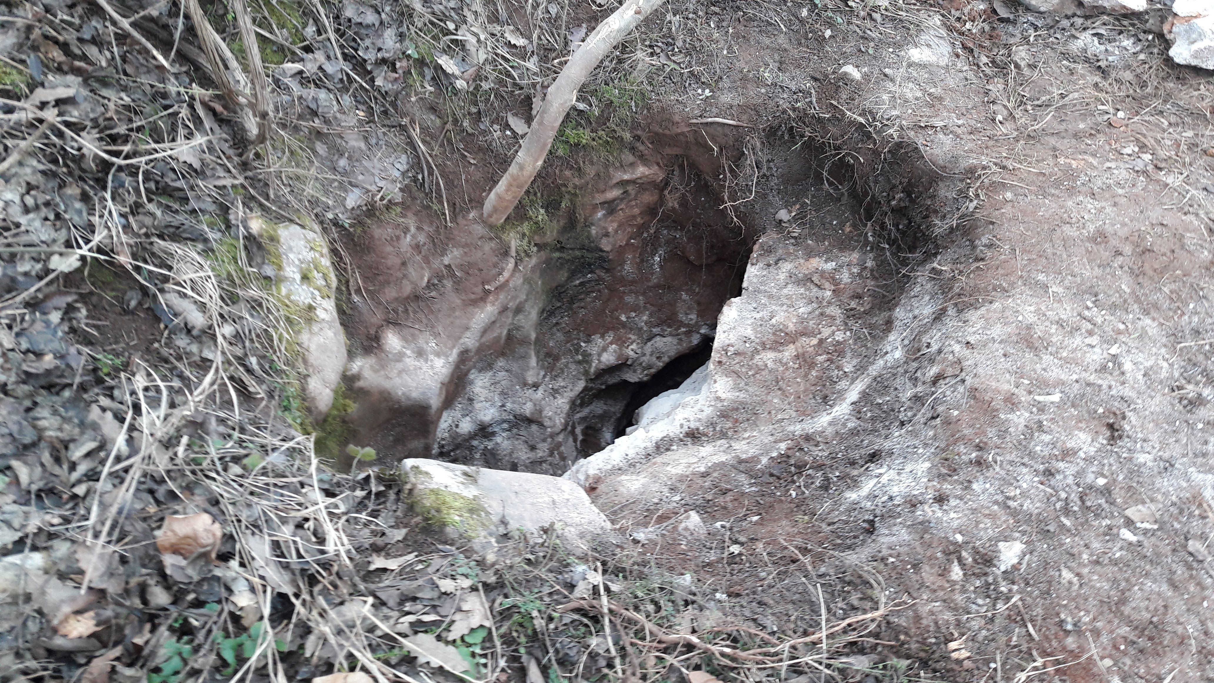 Avenul Broasca lui Daian - Image 1